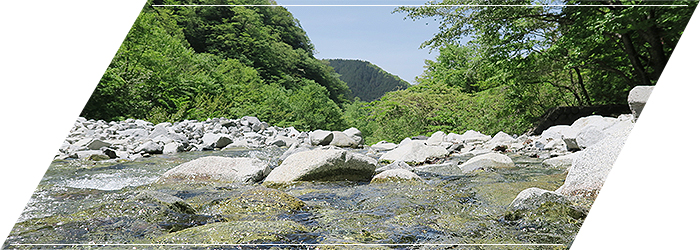 02.万葉の基本姿勢